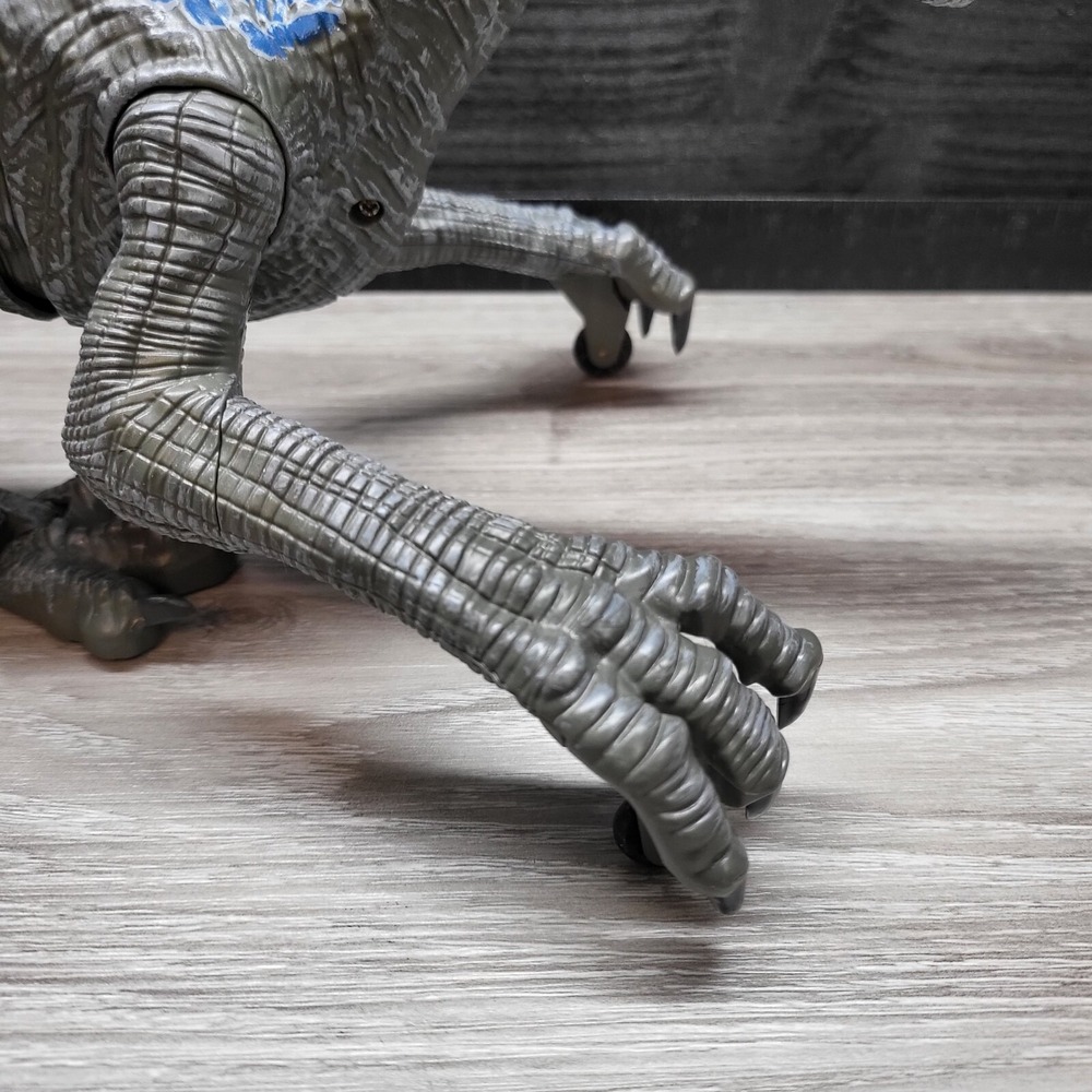 Remote Controlled Raptor No Remote! Tested! - Picture 6 of 16